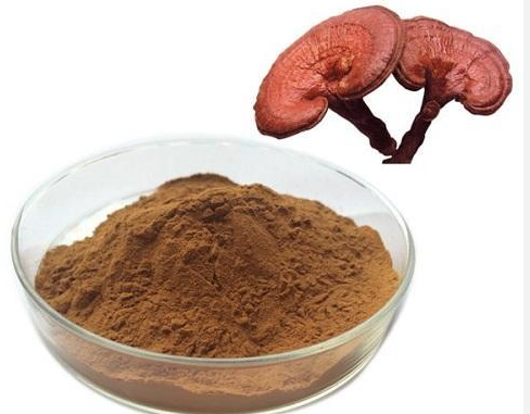 ganoderma lucidum саңырауқұлақ сығындысы.png