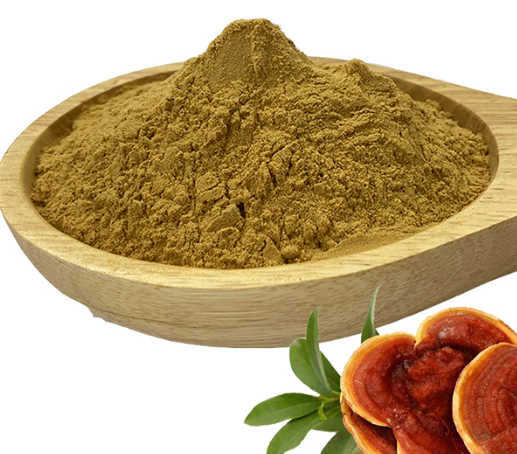 ganoderma lucidum сығындылары.png
