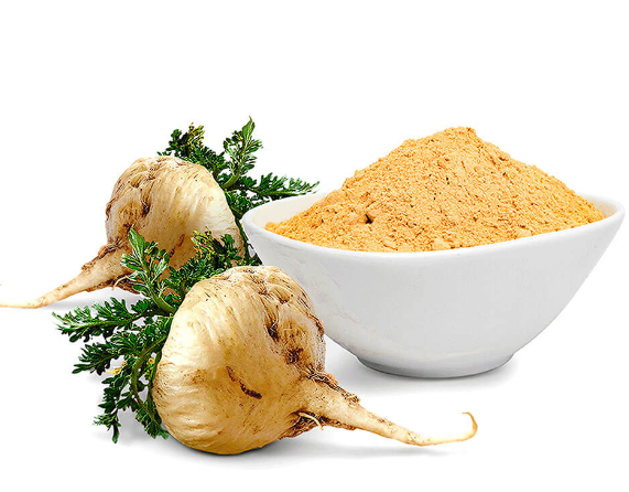 Maca Root Extract Powder.png
