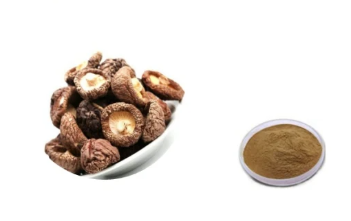 ekstrakt gljive shiitake u prahu.png
