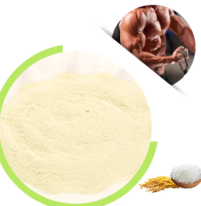 Bulk Rice Protein Powder Manufacturer - Wholesale